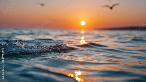Sunset over the ocean with gentle waves and flying birds.