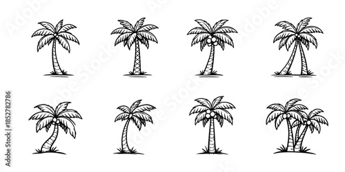 Palm tree collection, flat vector illustration, tropical, coconut, nature