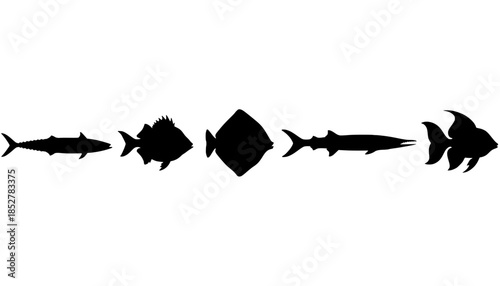 Fish Animal Seafood Silhouette