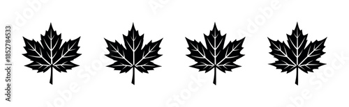 Maple leaf set, vector illustration, flat design, silhouette icons, decorative graphic