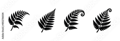 Fern leaves vector illustration, botanical foliage, flat vector style silhouettes