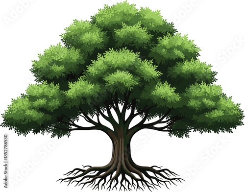 Large, healthy green tree vector illustration with lush canopy and exposed strong roots, symbolizing nature, life, growth, ecology, and environmental stability.