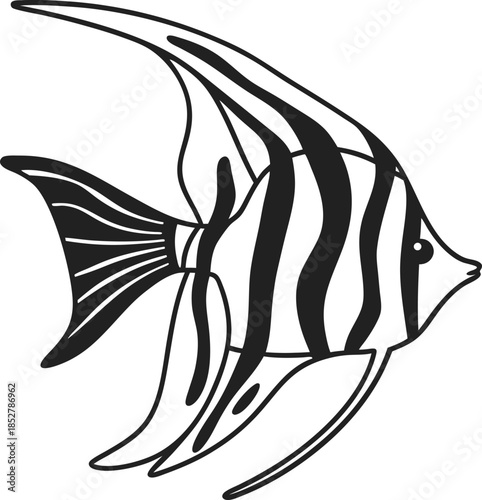 Elegant angelfish outline black and white tropical aquarium fish illustration with stripes, decorative fin details, simple marine animal design