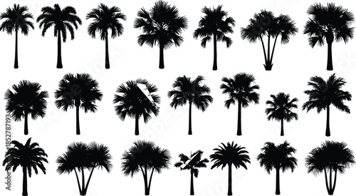 Mega collection of diverse tree and tropical plant silhouettes, including palms, conifers, and foliage for vector illustration, web design, or landscape graphics resource set