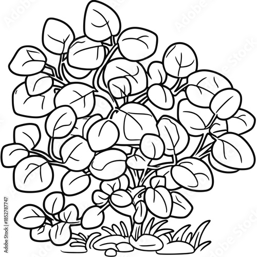 Black and white plant illustration leafy vine with rounded leaves