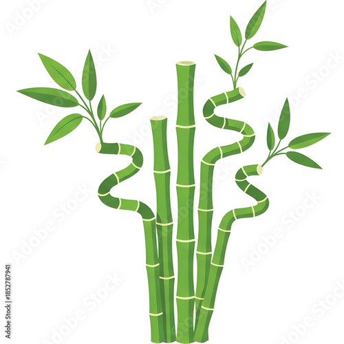 Lucky bamboo vector ornament