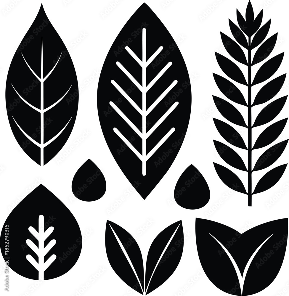 Fototapeta premium black and white leaves