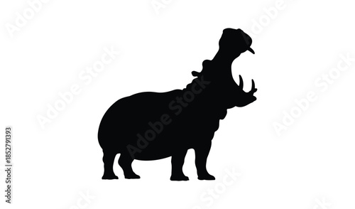 Silhouette of a hippopotamus with open mouth yawning for animal behavior and wildlife photography concepts.
