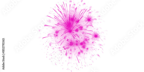Wallpaper Mural Vibrant pink fireworks bursting against a dark night sky Dazzling magenta pyrotechnics for festive celebrations holiday Torontodigital.ca