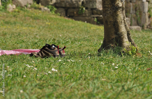 Hiking Shoes on Grass Near Tree in Sunny Park