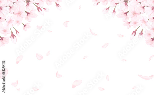桜_手描き_花びら背景_横_桜と舞う花びら