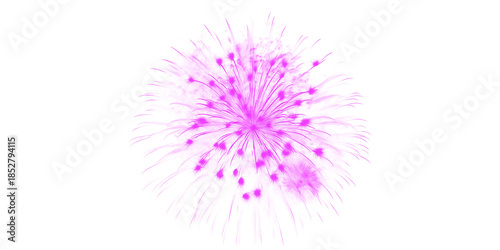 Vibrant purple firework blast dazzling dark night sky Magenta celebration Sparkling pyro for joyful events holidays