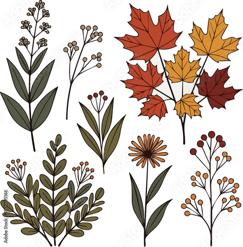 Create a kinds of deferent Composition of plants and flowers in autumn, vector art with white background.