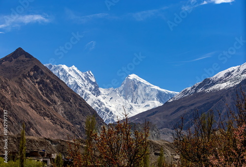 View of snow-capped mountains piercing the azure sky, framed by rugged peaks and blossoming trees in the foreground, Hopar Nagar, Gilgit Baltistan, Pakistan.