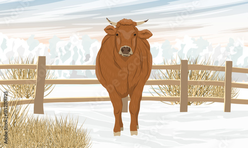 A cow stands near a fence in a snowy pasture. Farm and farm animals in winter. Realistic vector landscape.