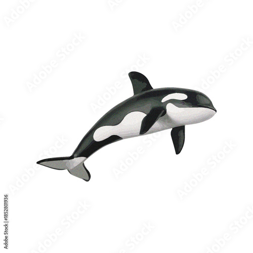 An orca swimming in the ocean viewed from the side