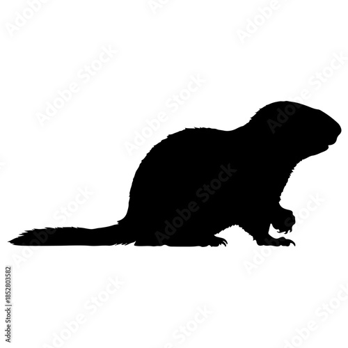 Silhouette of a beaver isolated on transparent background