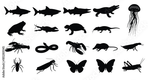 Collection of animal silhouettes on white background vector