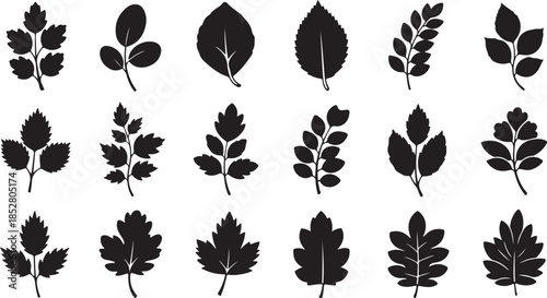 Collection of leaf silhouettes vector art
