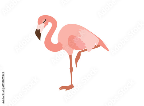flamingo pink cute pretty animal bird tropical summer emoji symbol sign icon vector illustration isolated flat