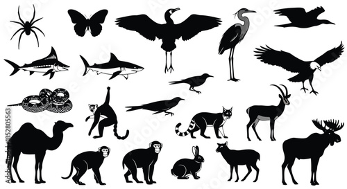 Collection of animal silhouettes on white background vector