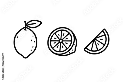 Line art lemons and slices on dark gray background