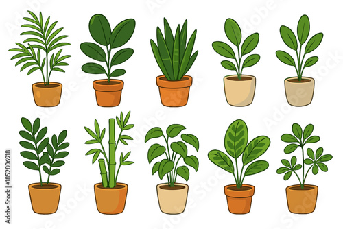 Collection of Potted Houseplants