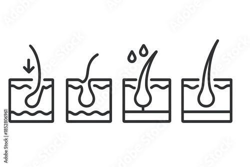 Hair follicle and skin diagram icons