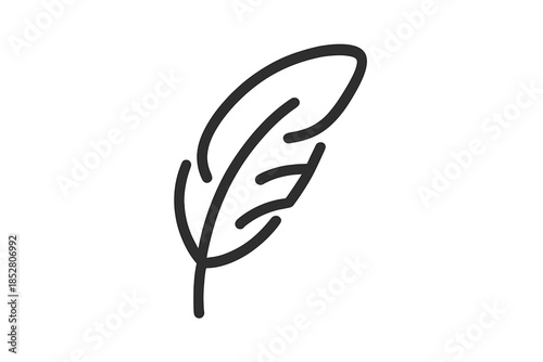 Feather outline on a grey gradient background