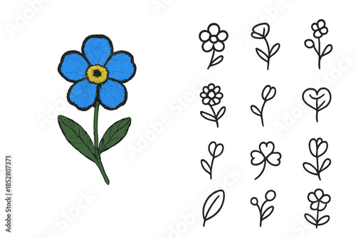 Forget-me-not flower illustration with line art flowers
