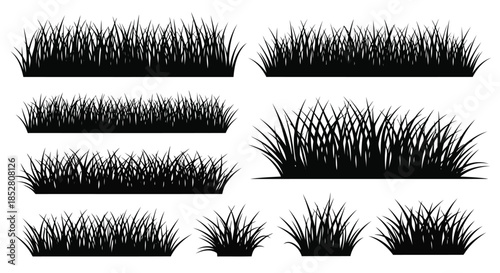 Collection of black grass silhouettes on white background vector