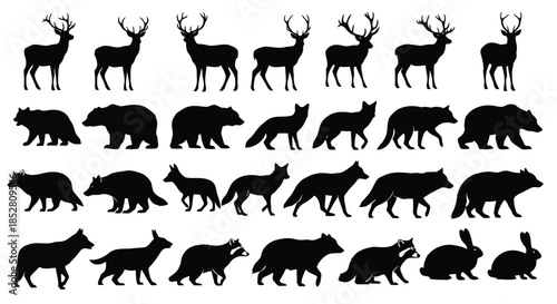 Black silhouettes of various wild animals on white background vector