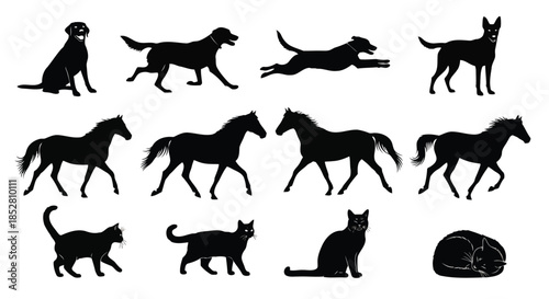 Black silhouettes of dogs, horses, and cats on white background vector