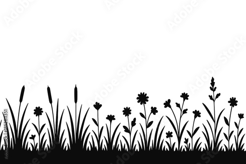 Dark Silhouette of Meadow Grass and Flowers