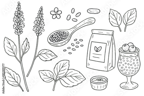 Herbal ingredients for tea and desserts illustration