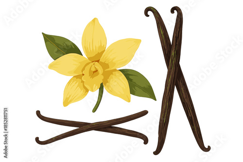 Vanilla Flower and Beans