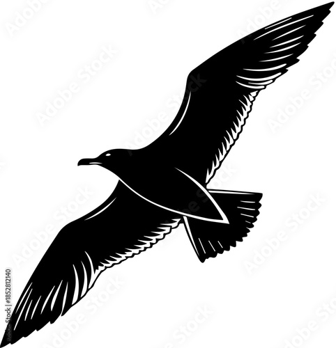 Silhouette of Seabird Flying with Wings Spread