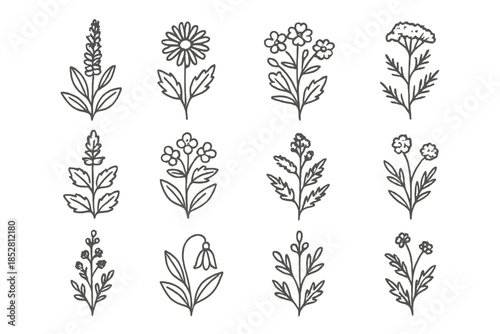 Set of outline floral elements on a dark gradient background