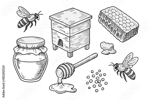 Bee and Honey Elements Black and White Sketch