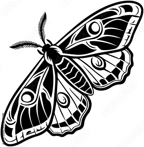 Stylized Moth with Intricate Wing Design