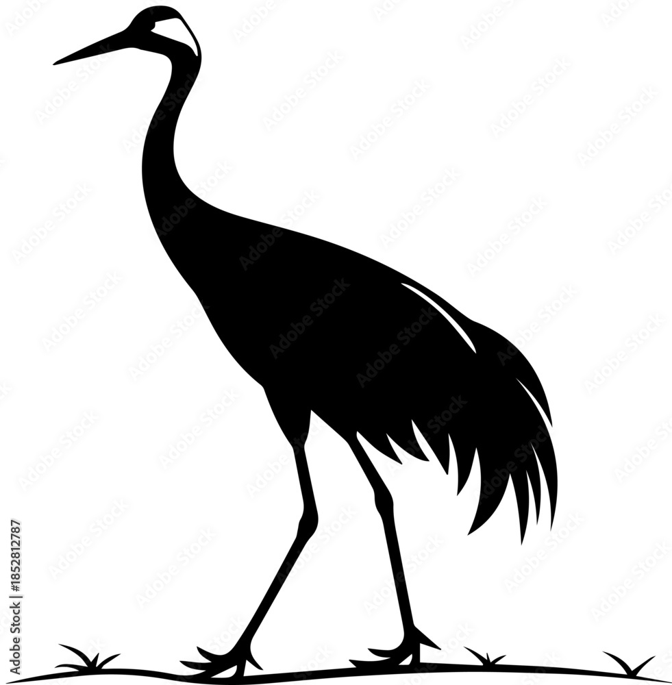 Obraz premium Silhouette of Crane Standing on Grass