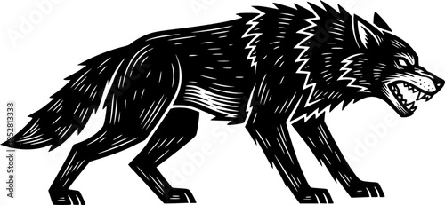 Menacing woodcut style illustration of a snarling black wolf on

