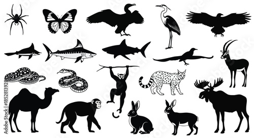 Collection of animal silhouettes on white background vector