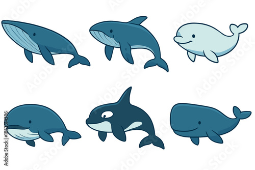 Cute Cartoon Whales
