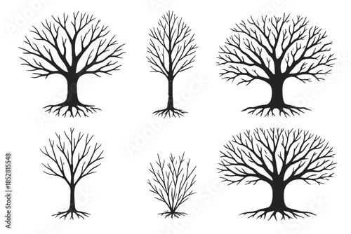 Five Bare Tree Silhouettes on Dark Background
