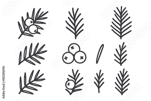 Botanical Icons: Juniper Branch, Berries, and Needles
