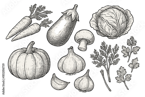 Vintage Vegetable Illustration