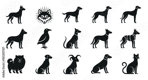 Black silhouettes of various animals on white background vector