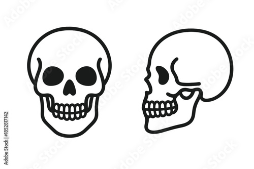 Two Skulls, Front and Side View, Dark Background