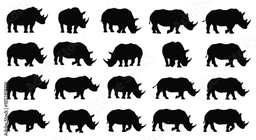 Collection of black rhinoceros silhouettes on white background vector